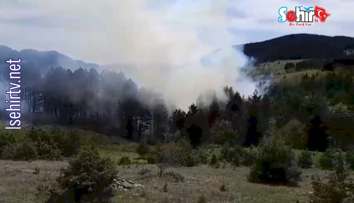 Sinop’ta korkutan orman yangını