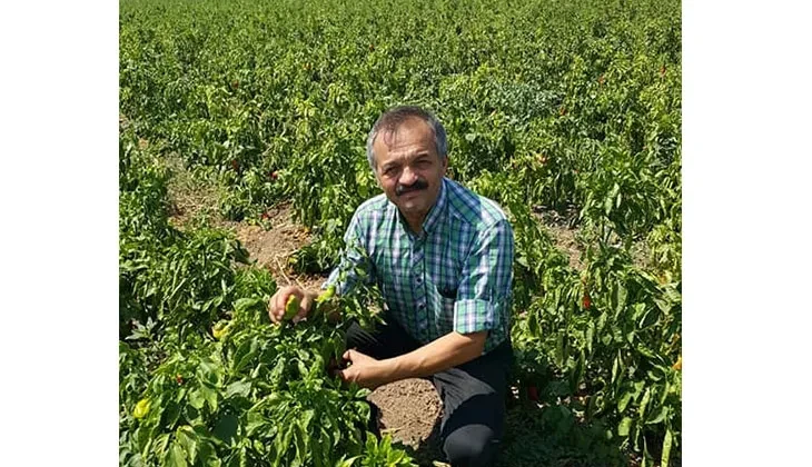 Denizli’de çiftçiler yağışlardan umutlu