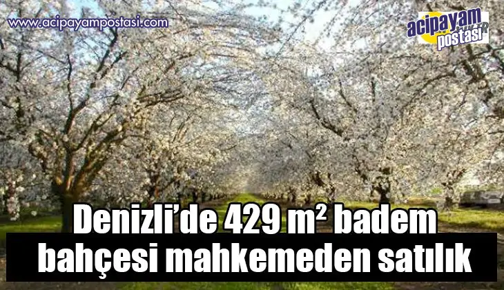 Denizli’de 429 m² badem bahçesi
                    mahkemeden satılık