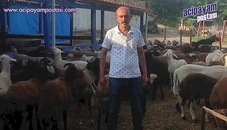 Denizli’de
                    kurbanlıklar satışa çıktı