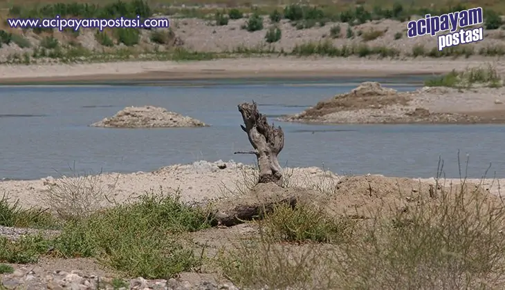 Su kıtlığına yapay
                    zekalı önlem